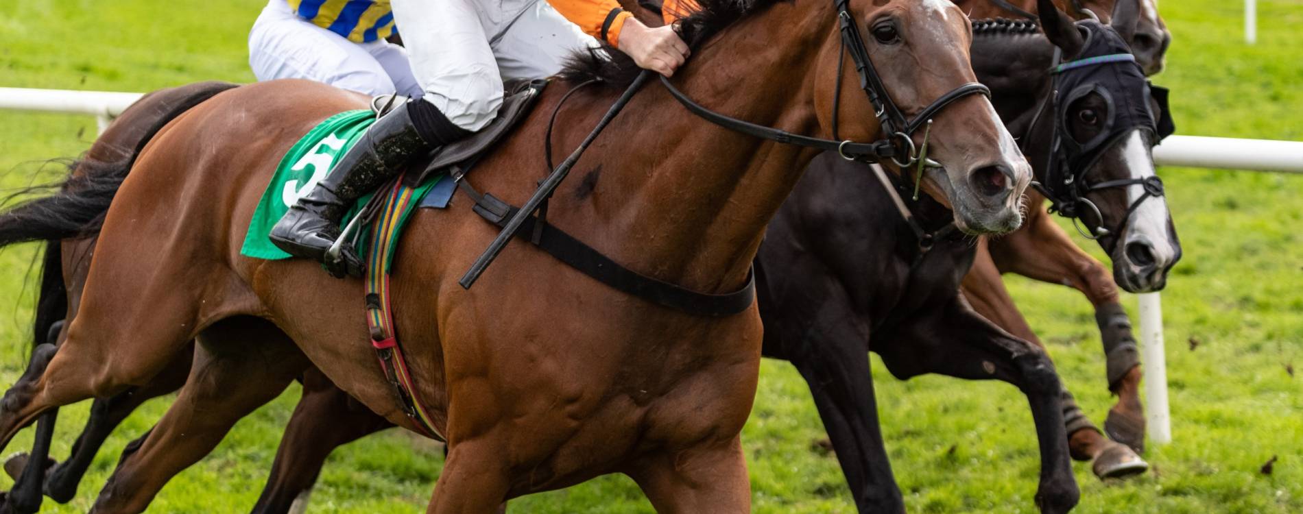 Summer Evening Racing