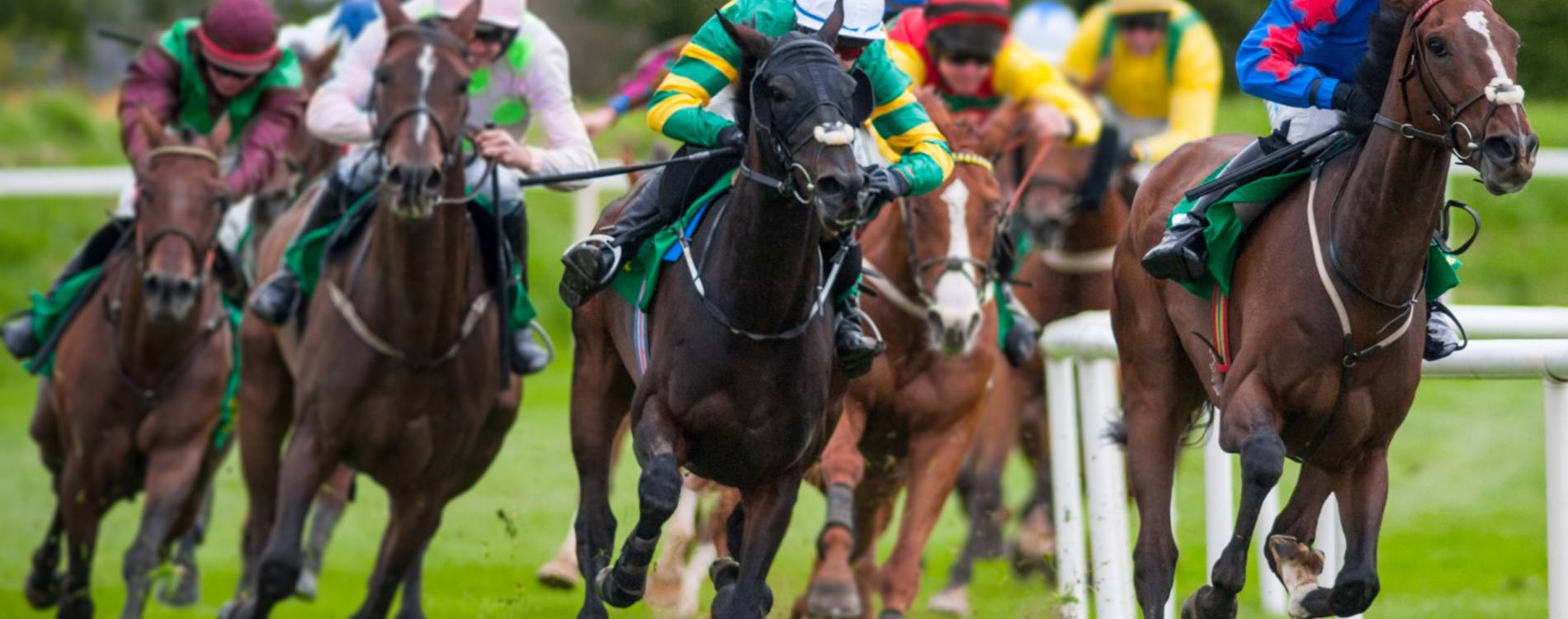 Summer Plate Ladies Day