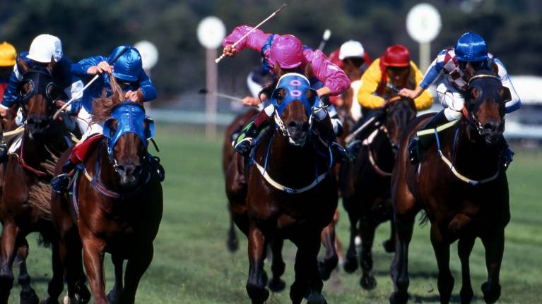 Summer Sizzler Raceday