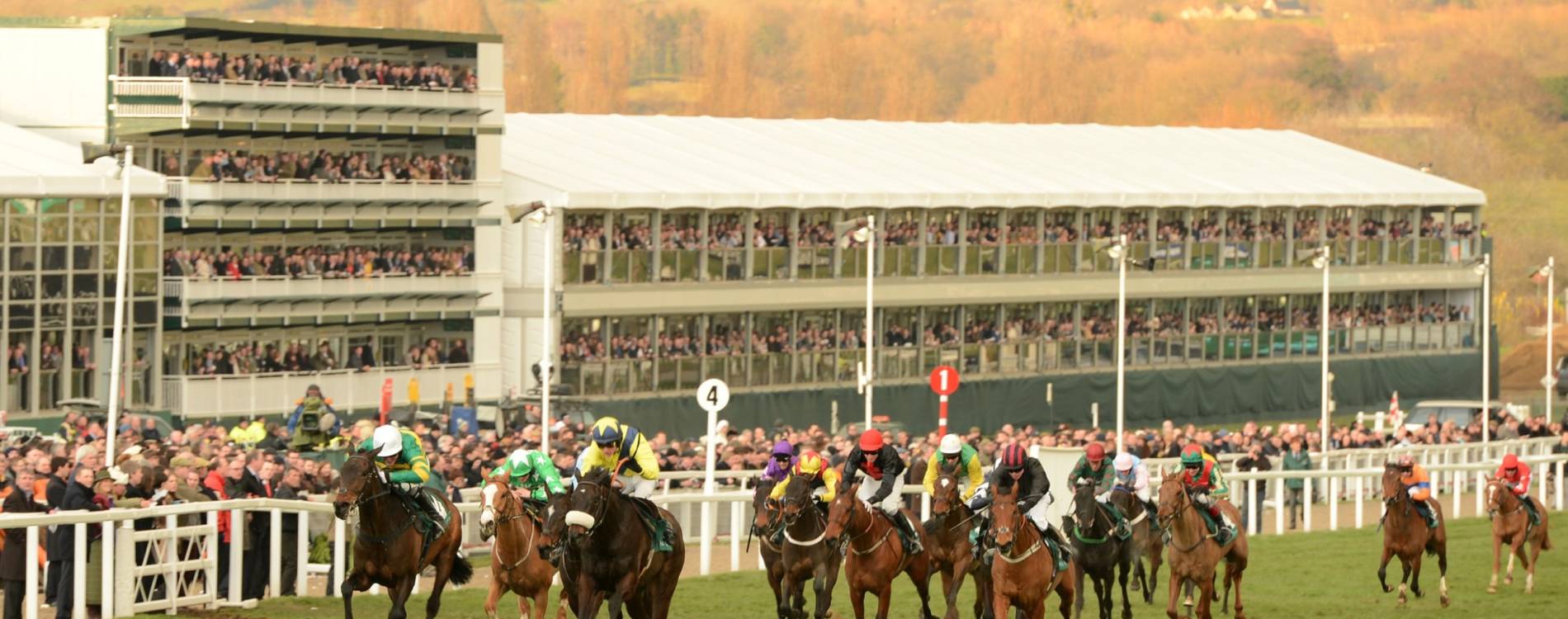 Sunshine on Cheltenham