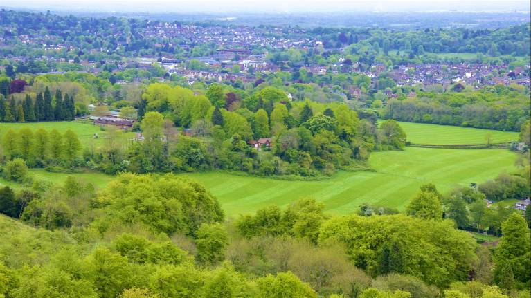 Surrey