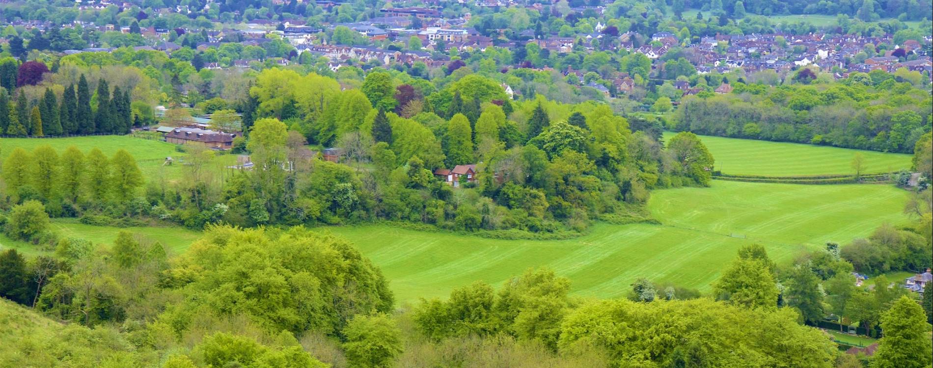Surrey Hills and Reigate