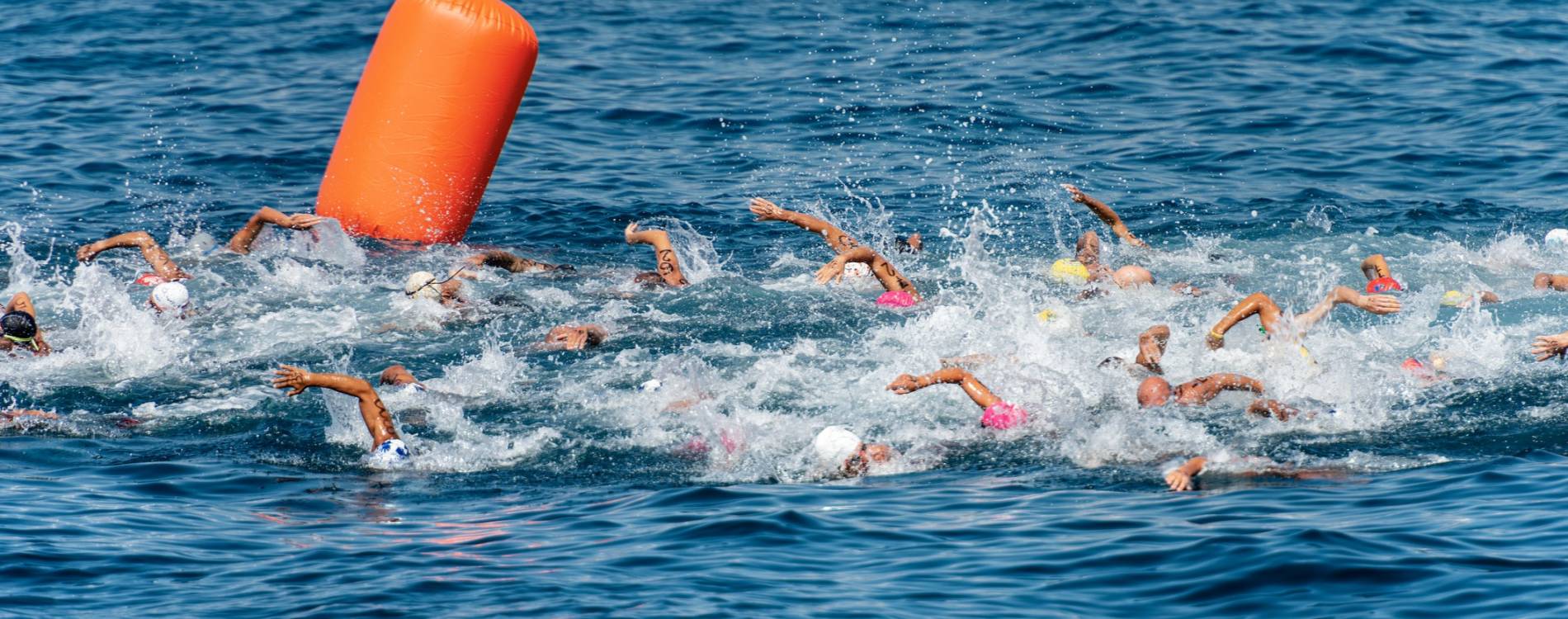 Open Water Swimming World Aquatics Championships 38 Feb 2024 Old