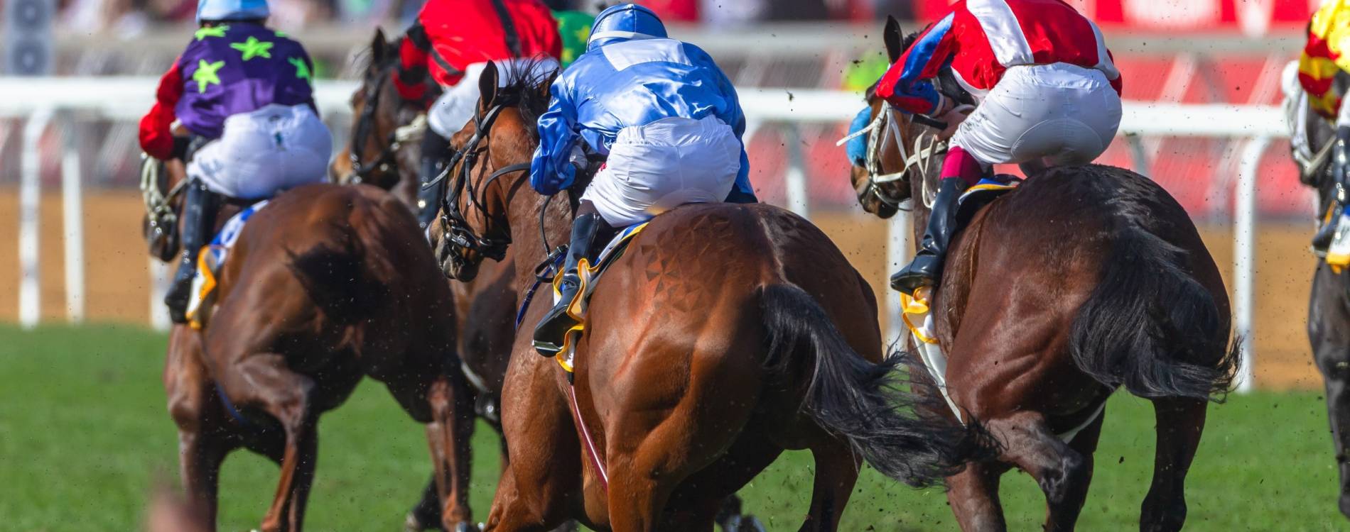 TAB Epsom Day