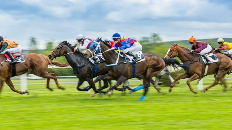 The Alice In Wonderland Family Fun Panto Raceday