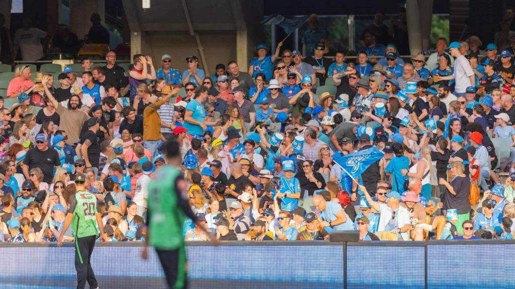 The Big Bash has proved popular with cricket fans across Australia and the wider world