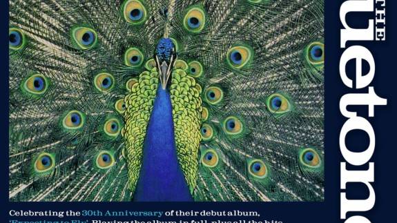 The Bluetones