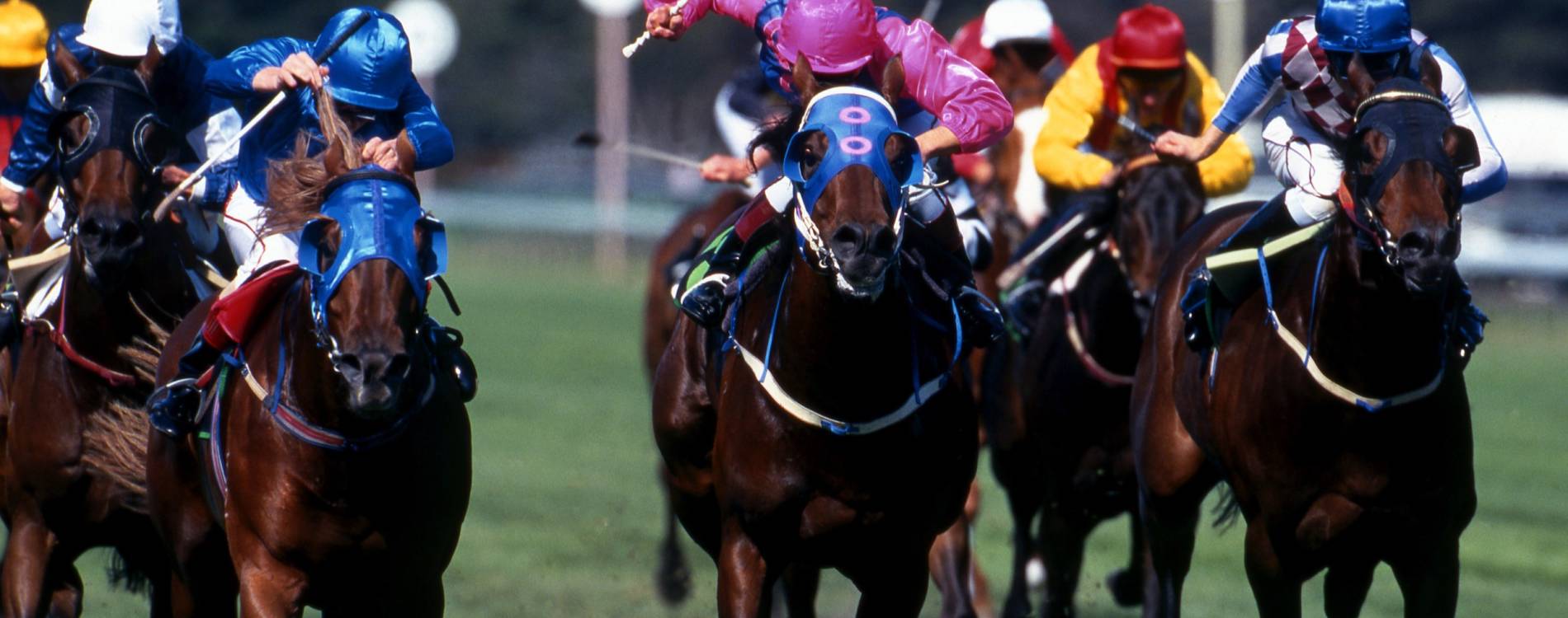 The Greatest Horses of Sheikh Hamdan’s Shadwell Racing