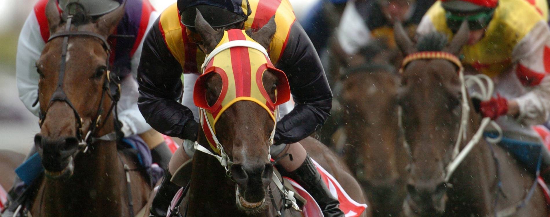 The January Jumps Raceday