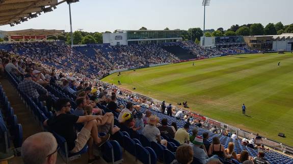 The Jellyfish Family Stand