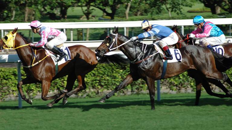 The QuinnBet Student Racenight