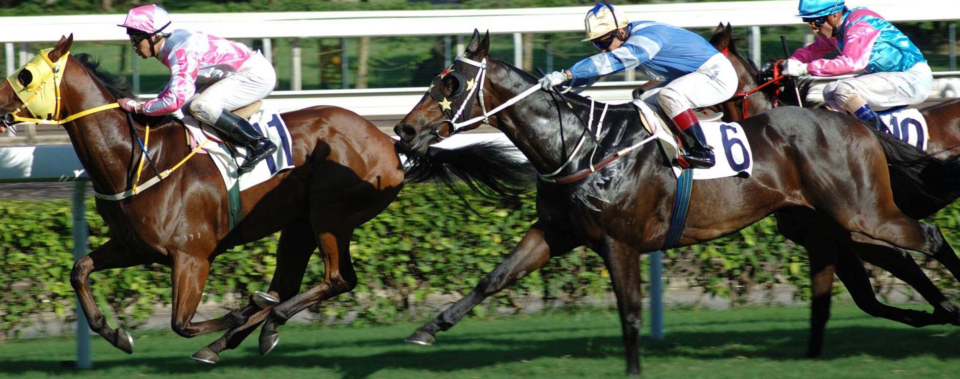 The QuinnBet Student Racenight