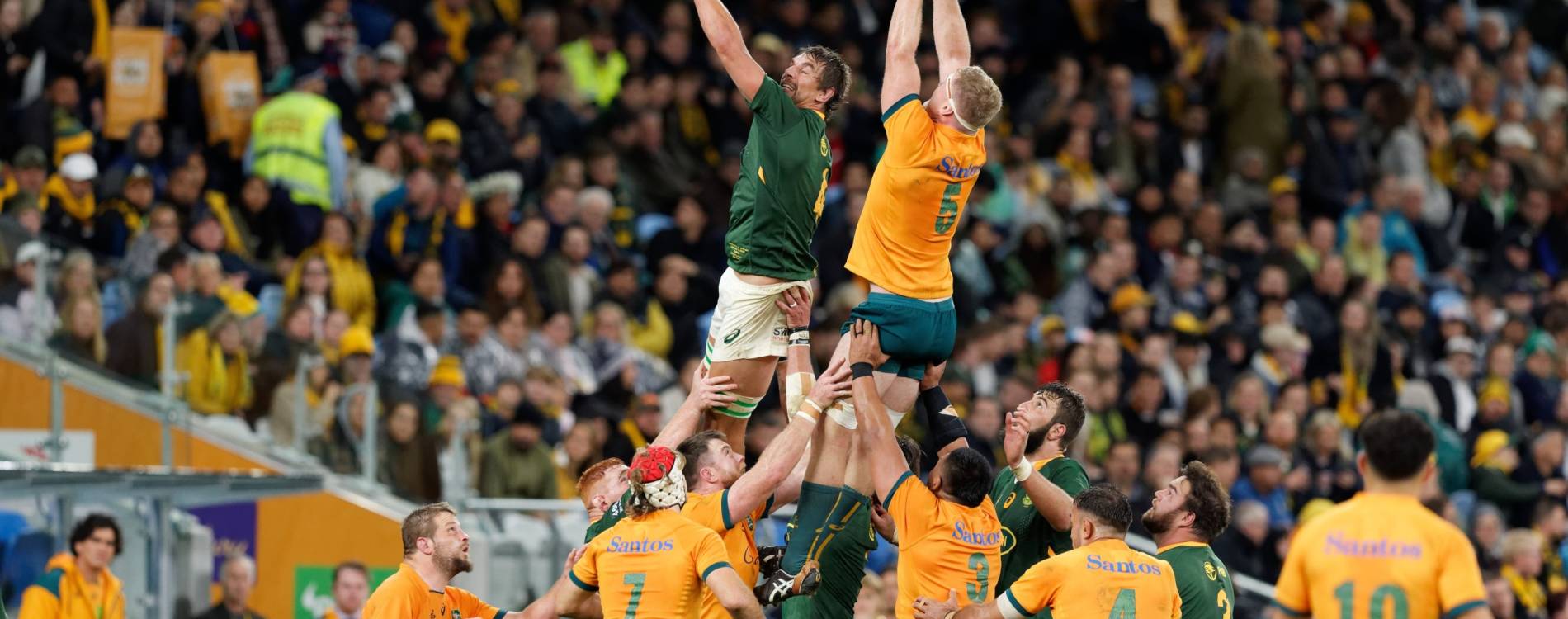 The Rugby Championship features Australia, New Zealand, South Africa, and Argentina