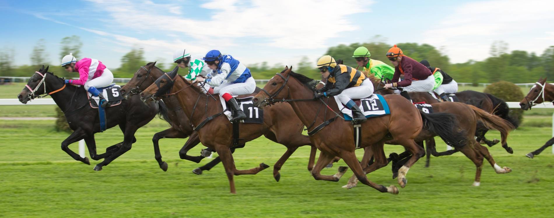 The Sky Bet Sunday Series Raceday (Day 2)