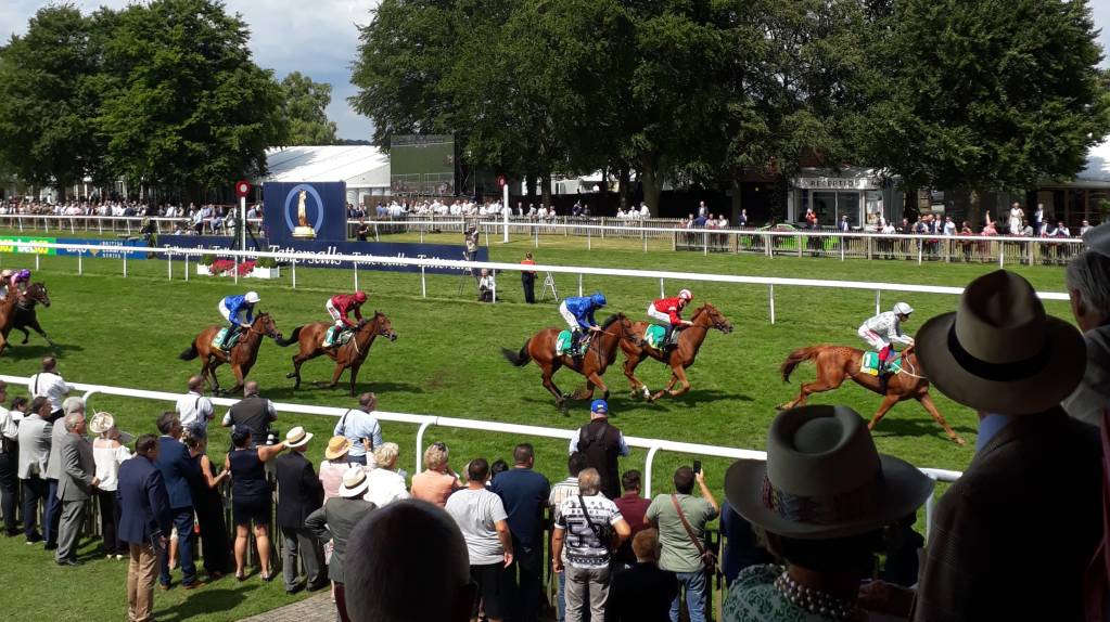The thrill of racing at Newmarket