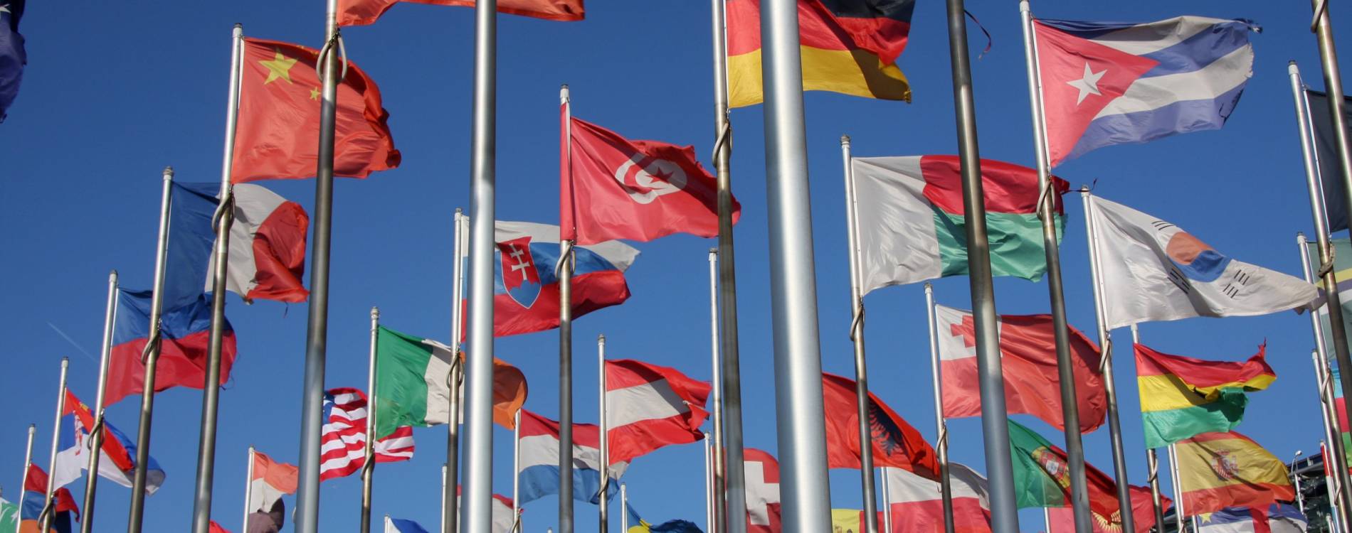 The World Games Finds Sweet Home in Alabama