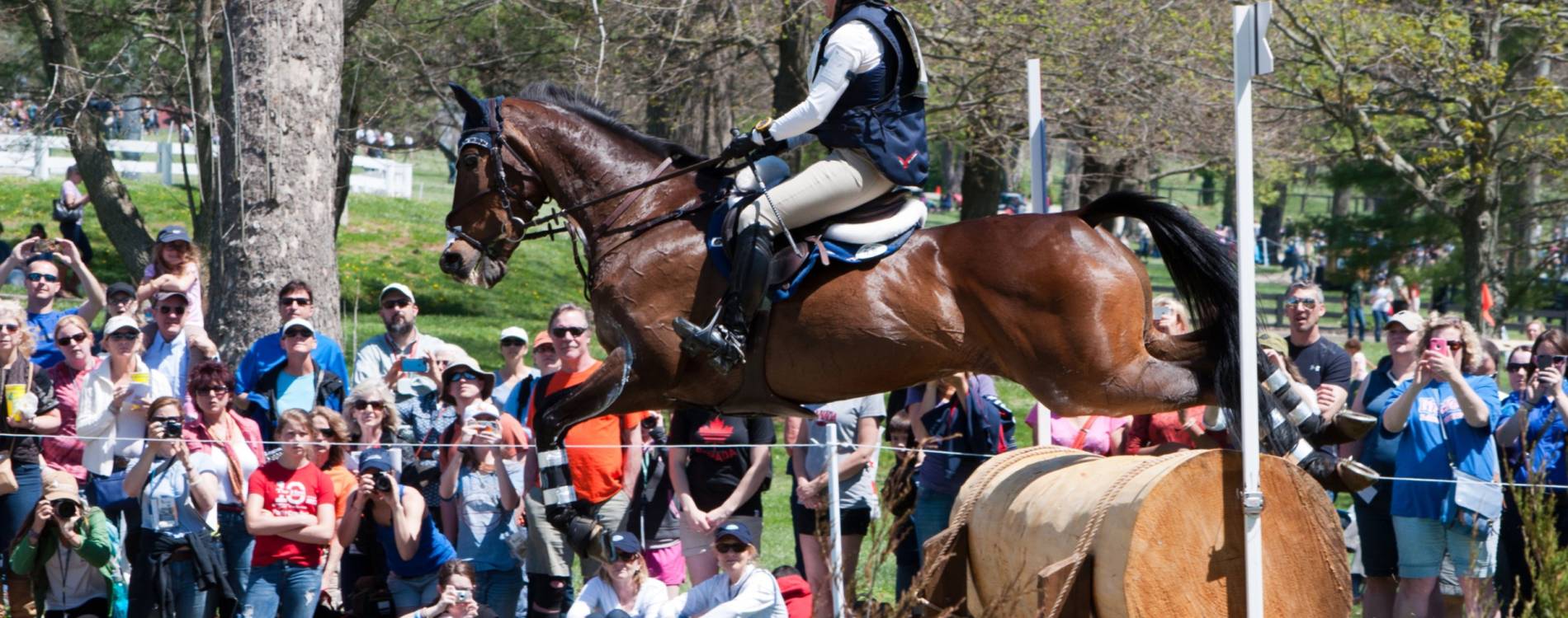 Three-Day Event at the Kentucky Horse Park