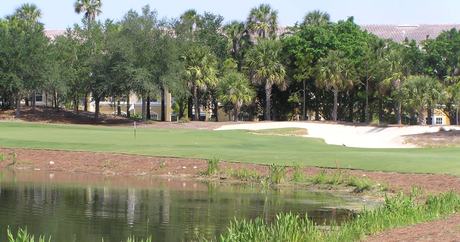 QBE Shootout Dec 2023* Tiburón Golf Club Koobit