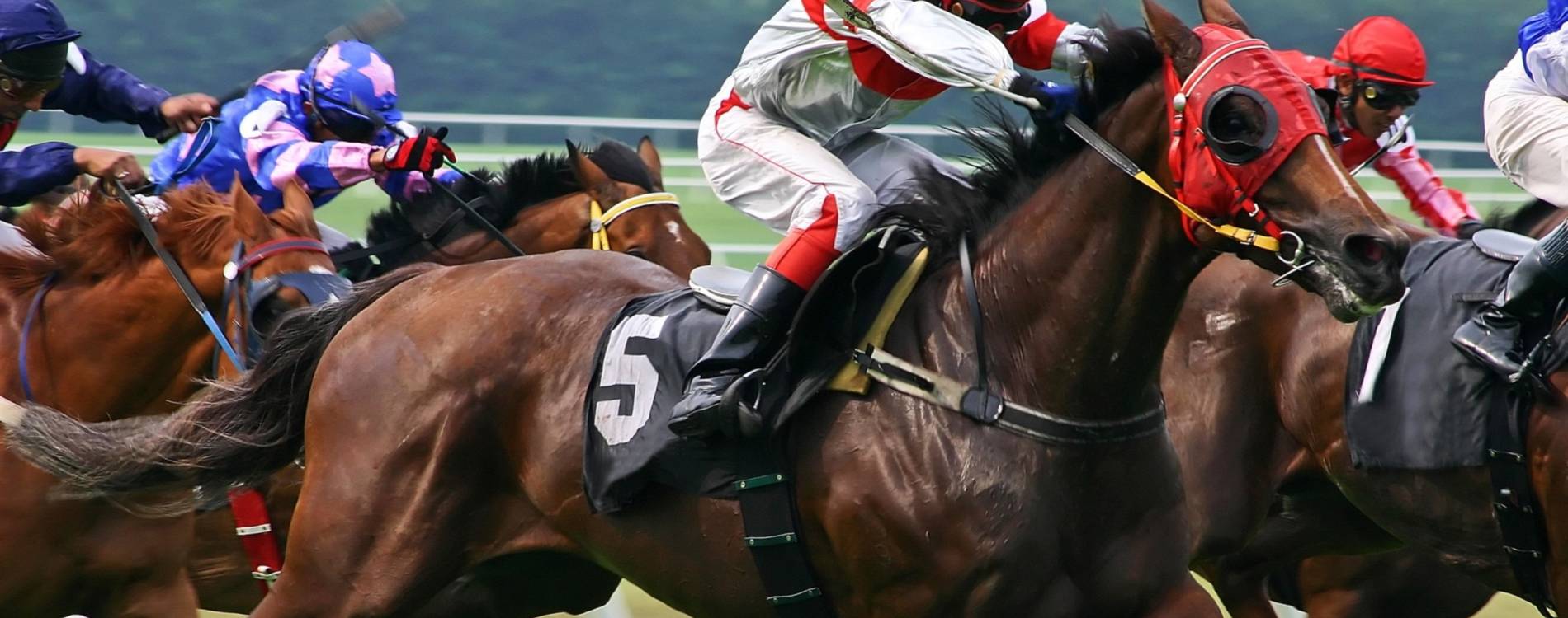 Timeform Chase Raceday