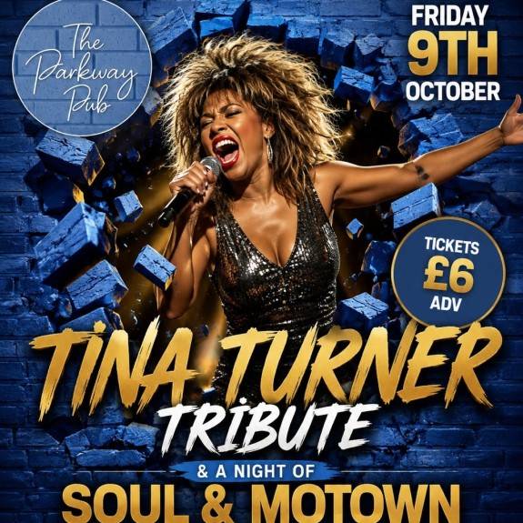 Tina Turner Tribute and a night of Soul and Motown