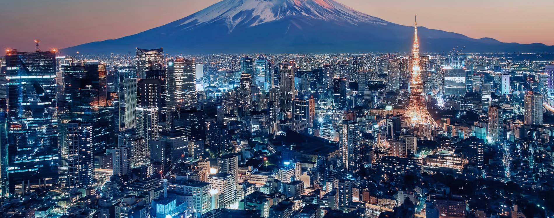 Tokyo skyline