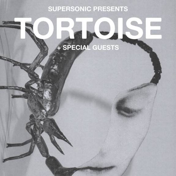 Tortoise at The Crossing, Birmingham