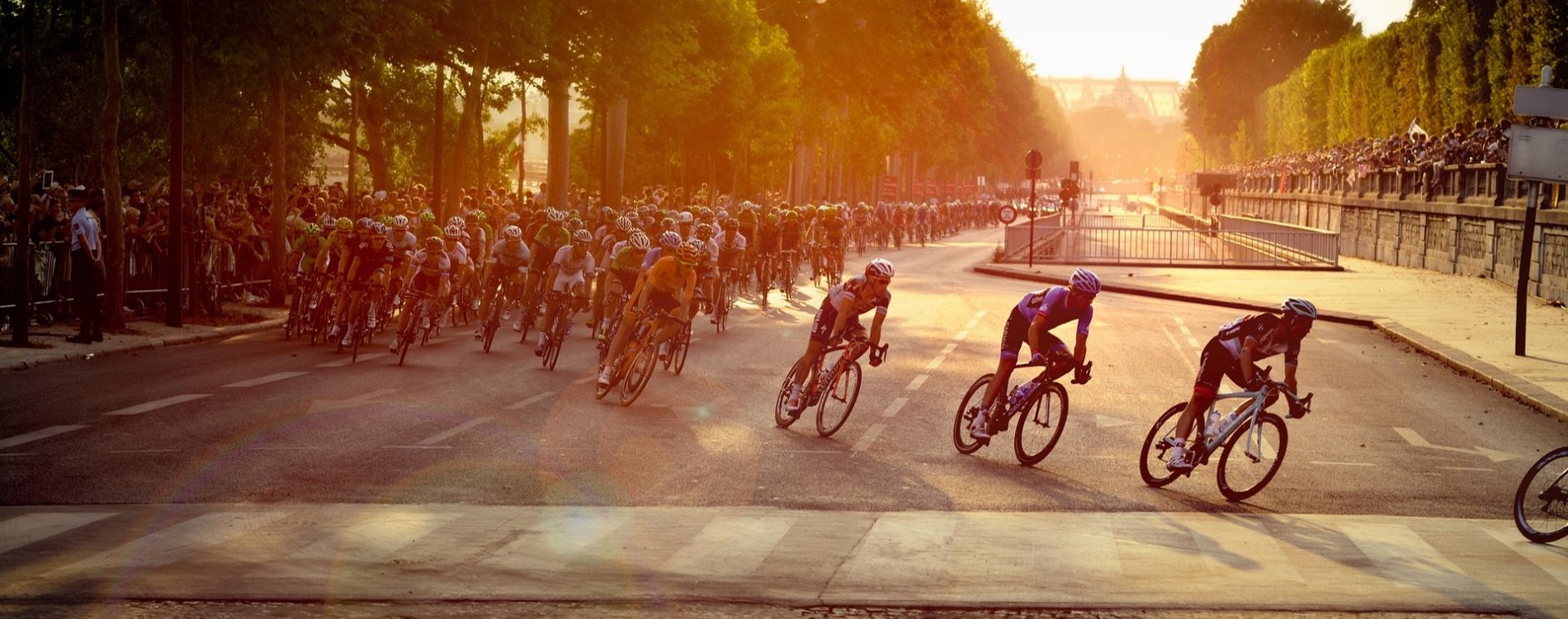 Tour de France cyclists in Paris sunset