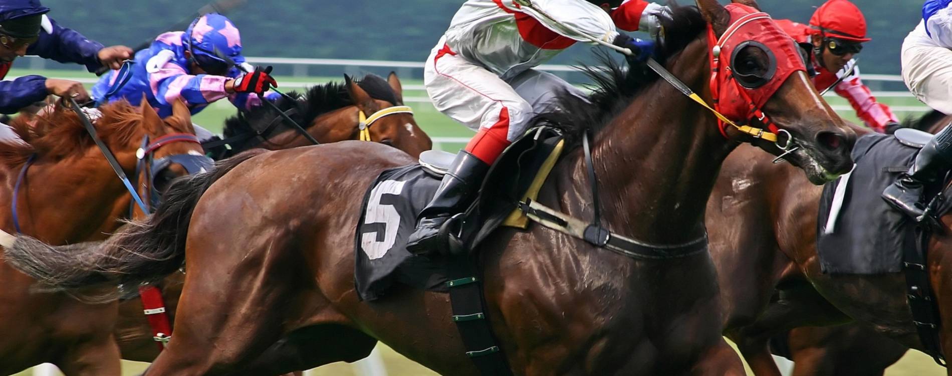 Traditional Race Day