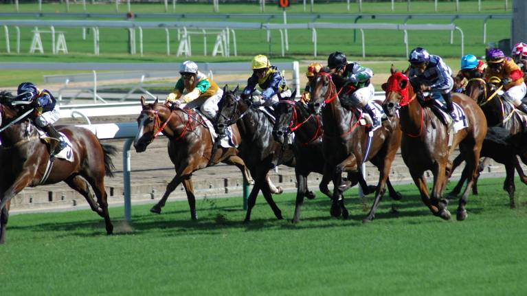 Tuesday Afternoon Flat Racing