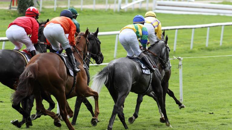 Tuesday Afternoon Jump Racing