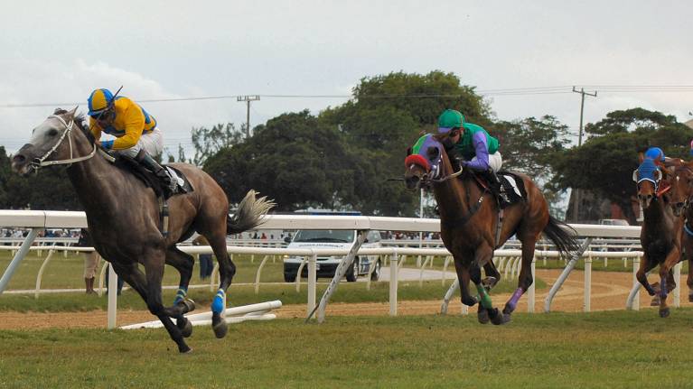 Tuesday Afternoon Jump Racing