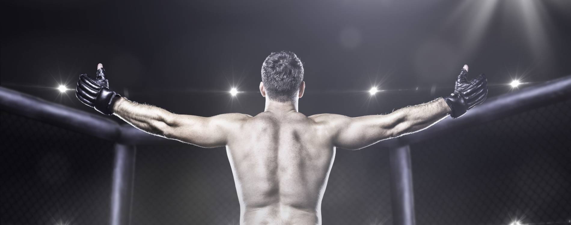 UFC Fight Night