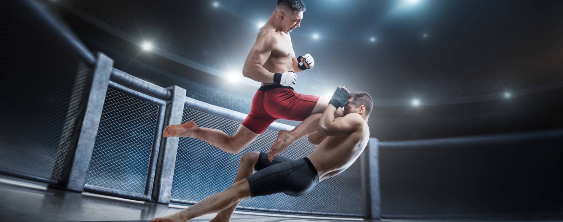 UFC Fight Night: Bautista vs Oliveira