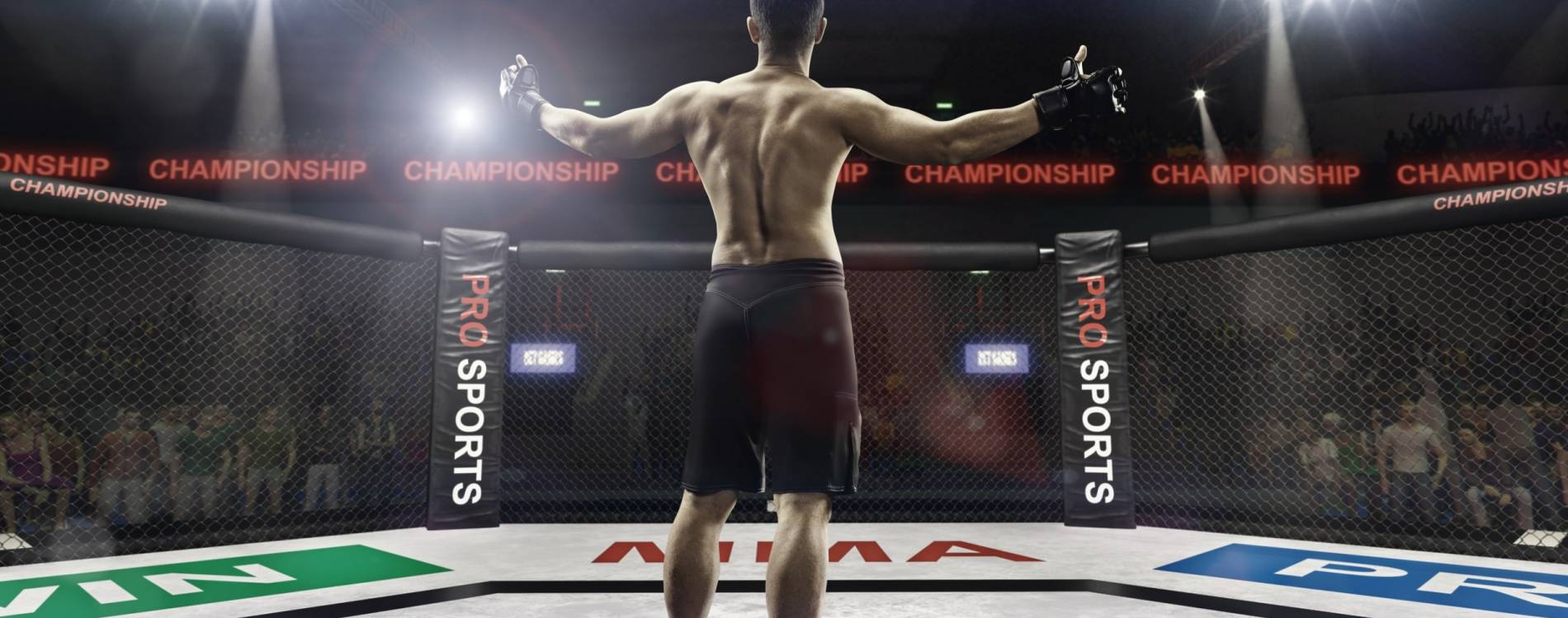 UFC Fight Night: Cutelaba vs Sy