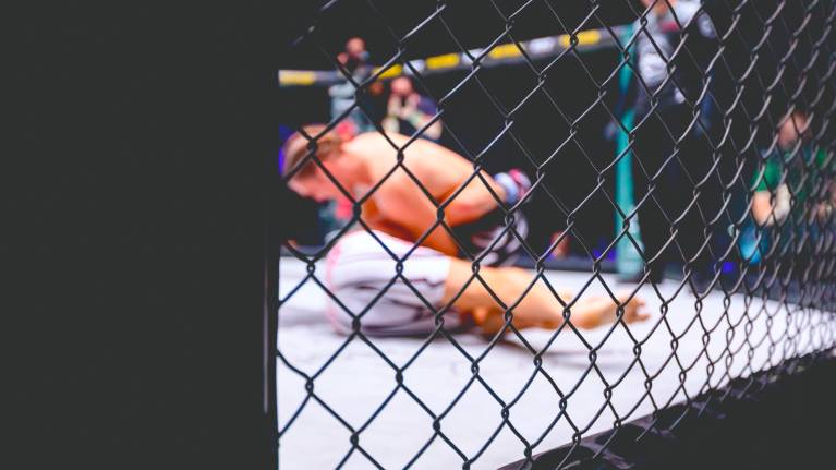 UFC Fight Night: Hooker vs Parnasse