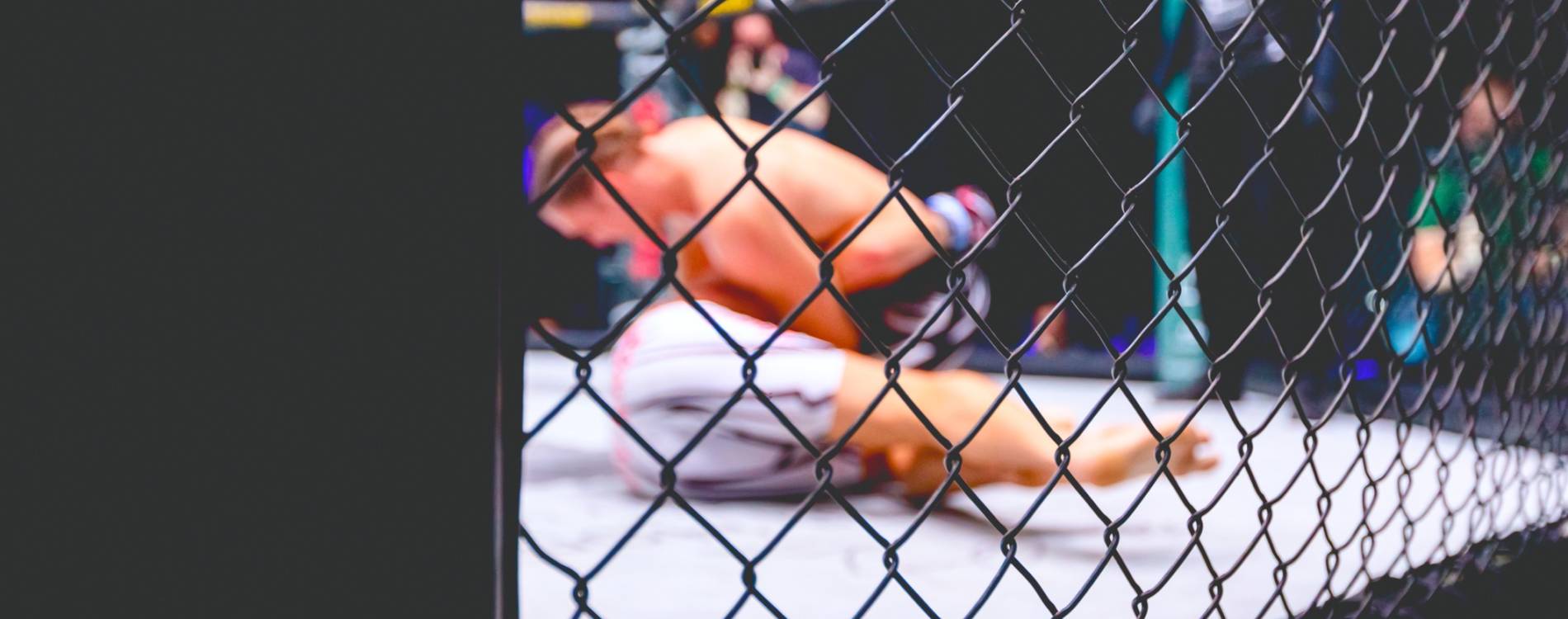 UFC Fight Night: Hooker vs Parnasse