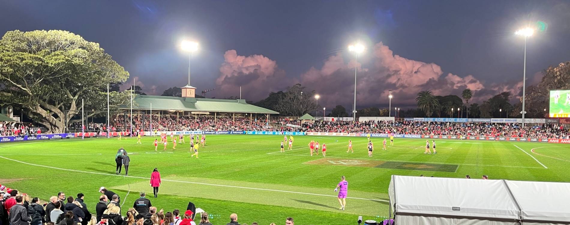 View across the pitch at the North Sydney Oval