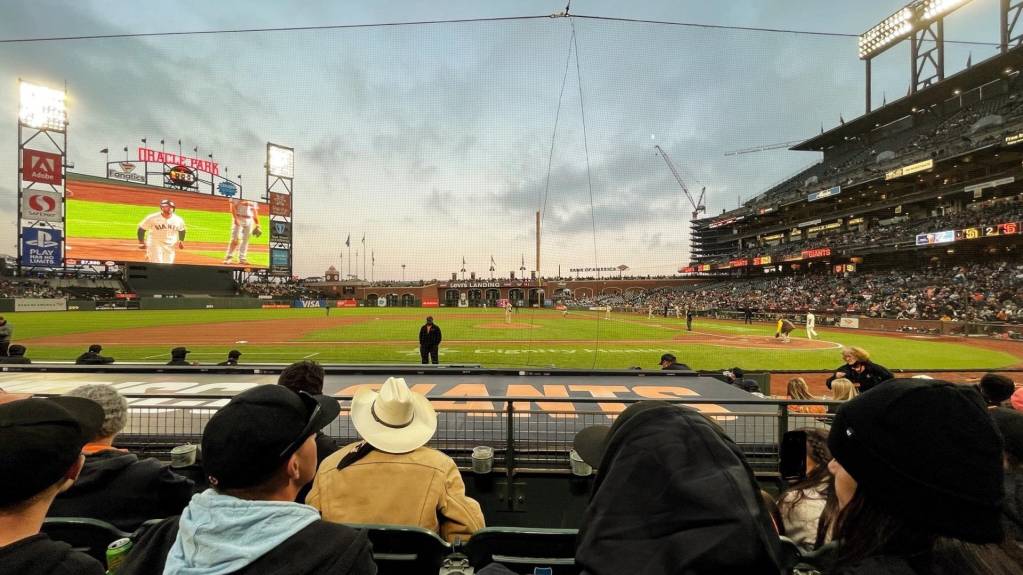 View from Section 122, Row D