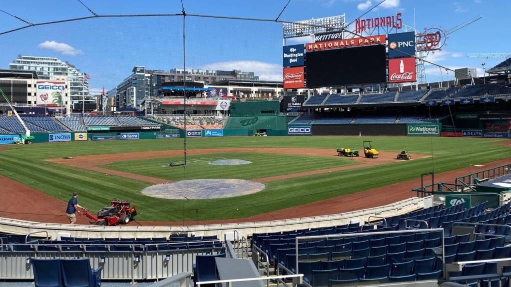 View from Section 123, Row D