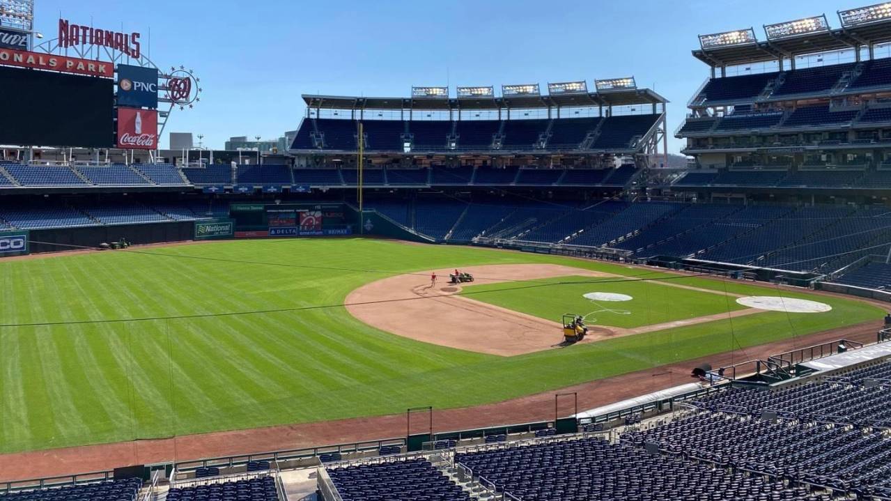 View from Section 205, Row D