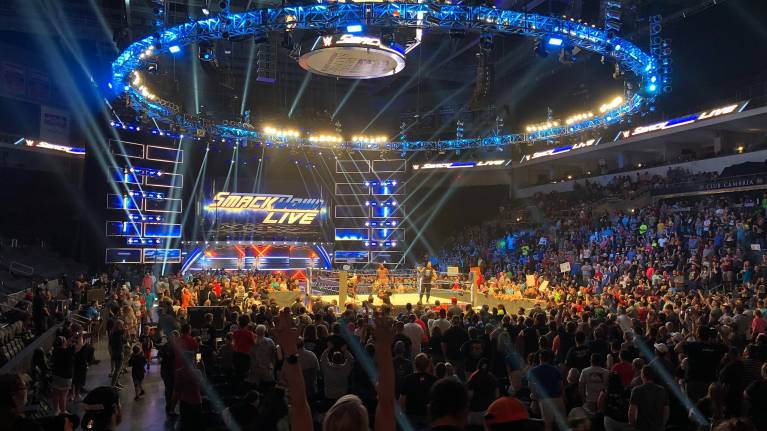 View from the Lower level of a wrestling show