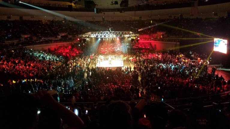 View from the Mezzanine Level at a WWE show