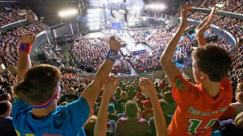 View from the Upper level of a WWE show