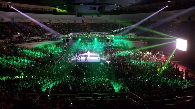 View from Upper level of a WWE show