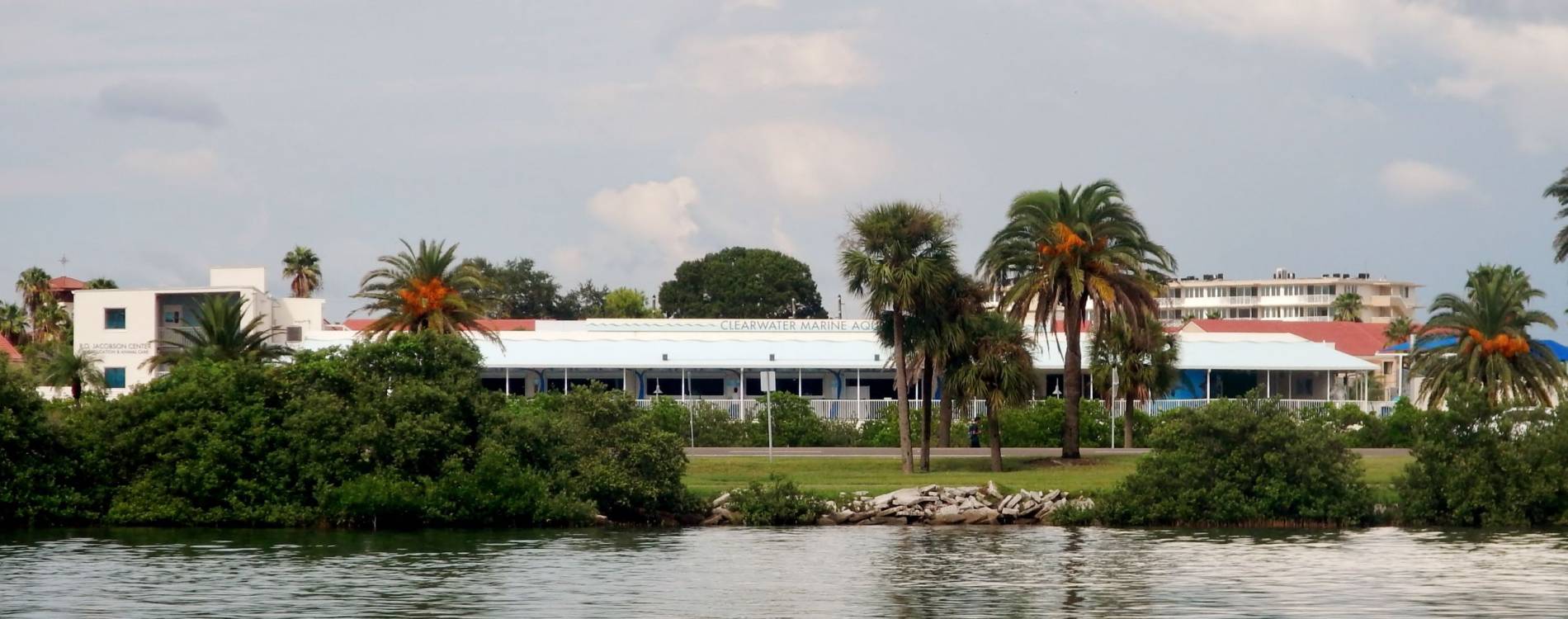 View to Clearwater Marine Aquarium