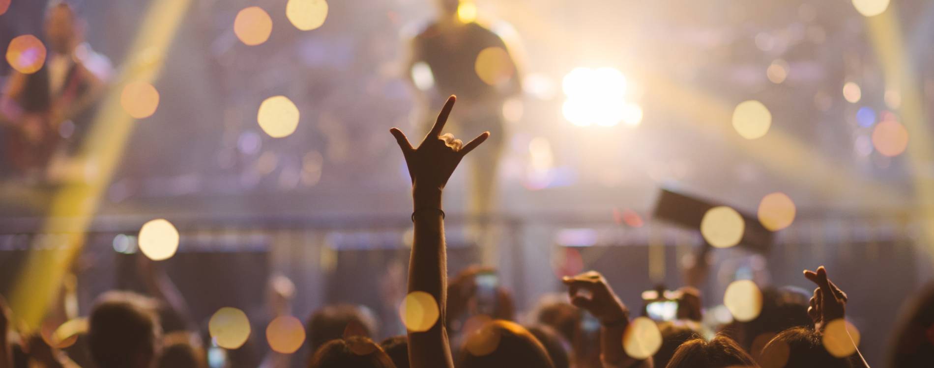 Find Your Next Event