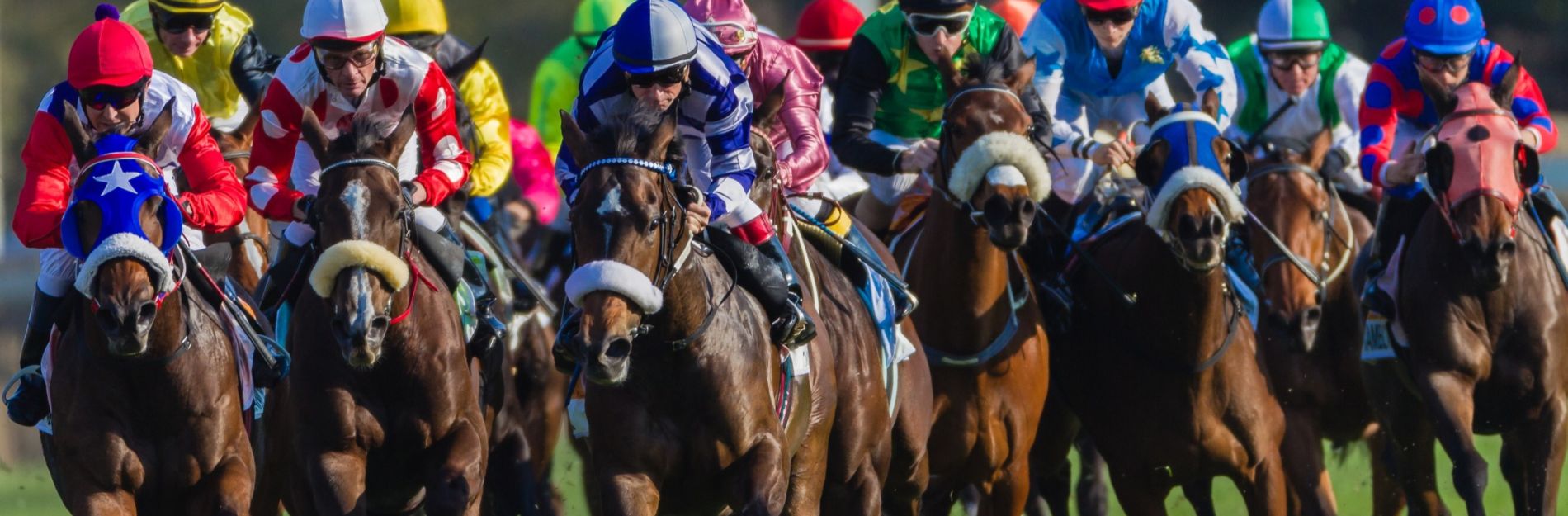 Find Your Next Event