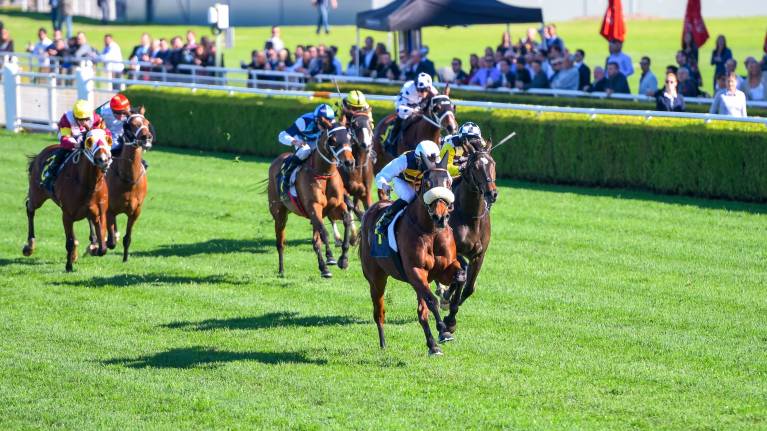 Warwick Farm Midweek