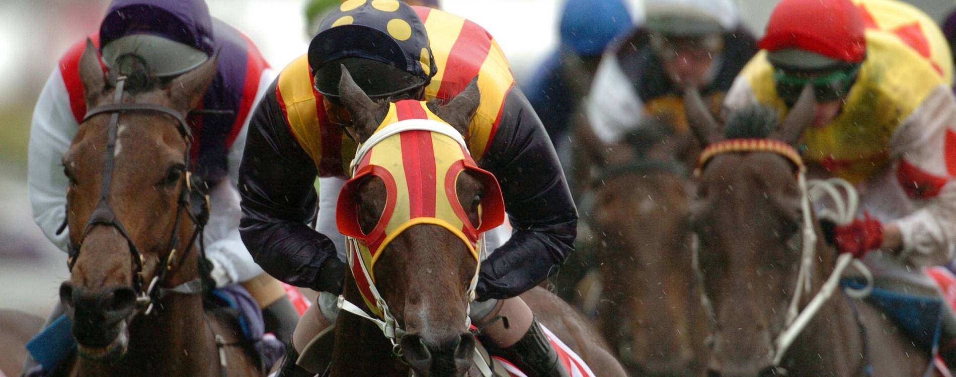 Warwick races