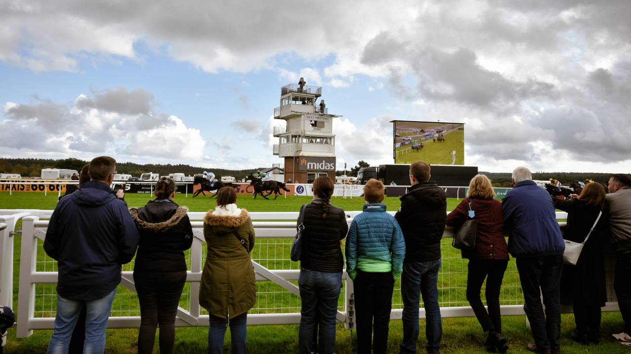 Watching the racing at Exeter